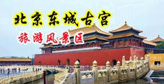 肏屄网午夜中国北京-东城古宫旅游风景区