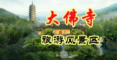 骚货母狗被调教[12P]中国浙江-新昌大佛寺旅游风景区